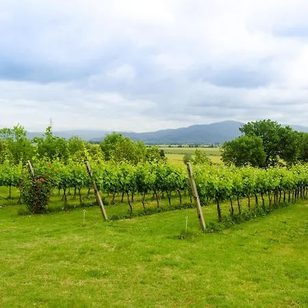 San Francesco Alloggio per agriturismo