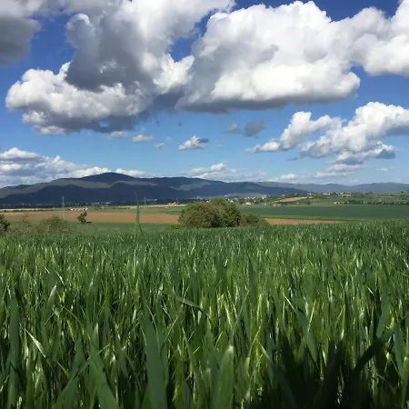 San Francesco Gospodarstwo agroturystyczne