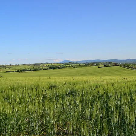 San Francesco